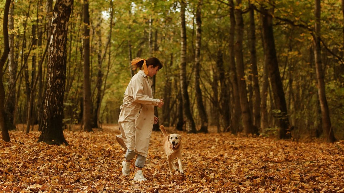 Žena se igra sa psom u šumi