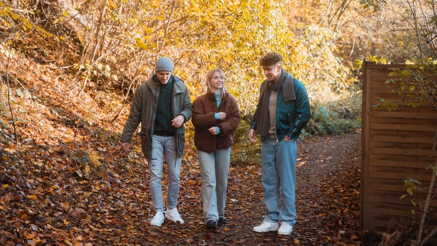 Zabava na timskom sastanku - početak karijere